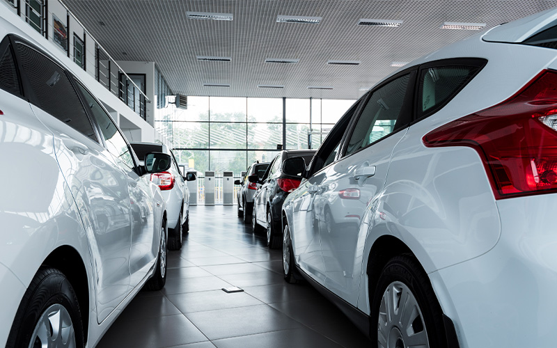 White cars in car showroom